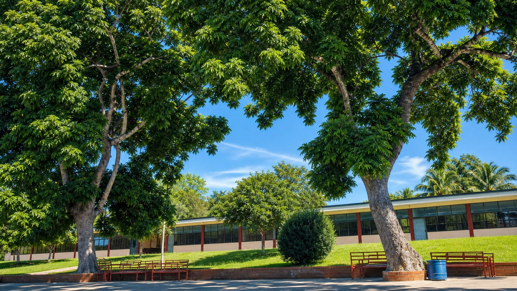campus backg